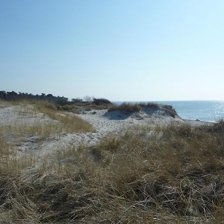 Fewo Kaeuzchen - Ulenhoef Prerow Buitenkant foto