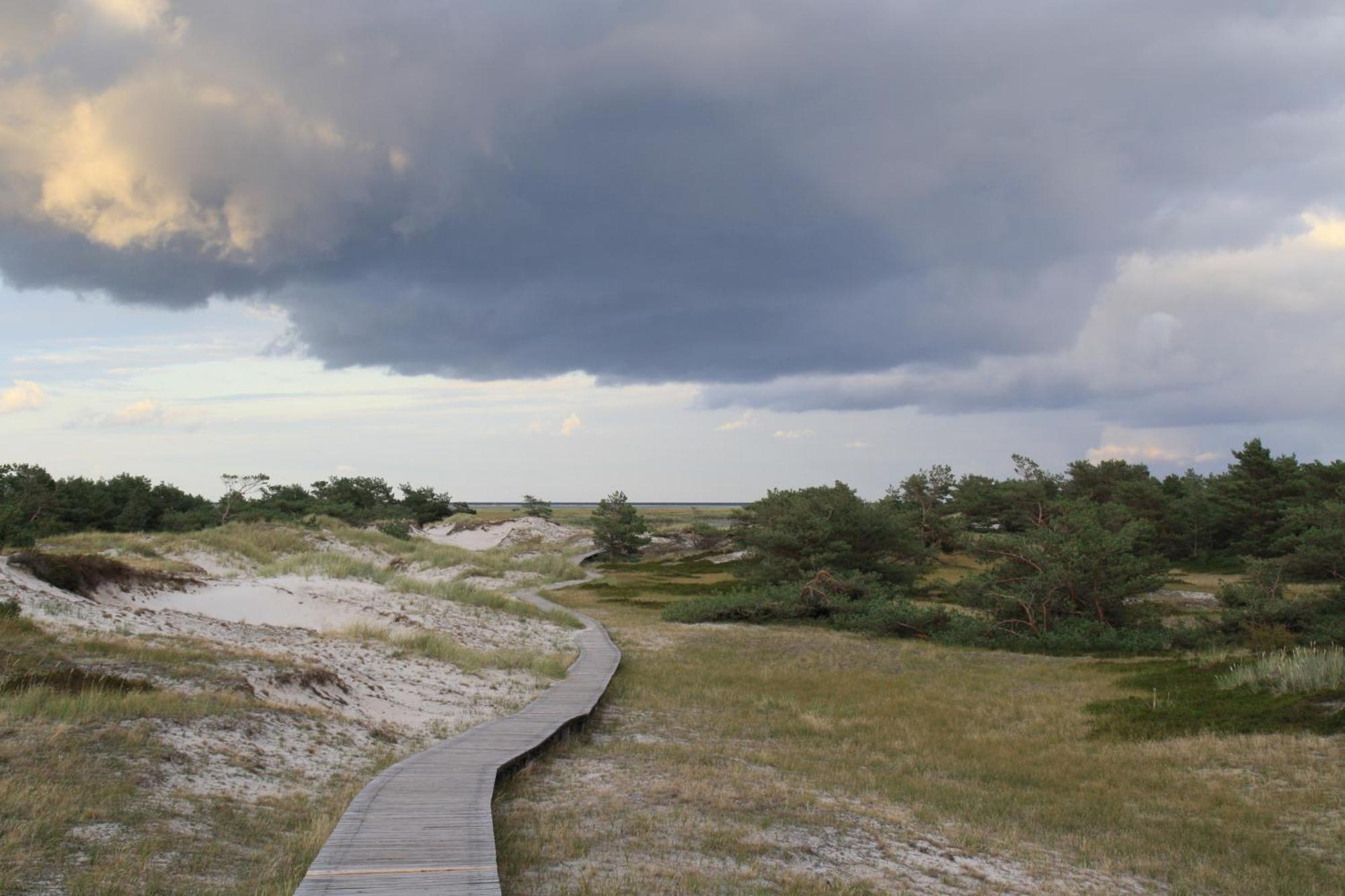 Fewo Kaeuzchen - Ulenhoef Prerow Buitenkant foto