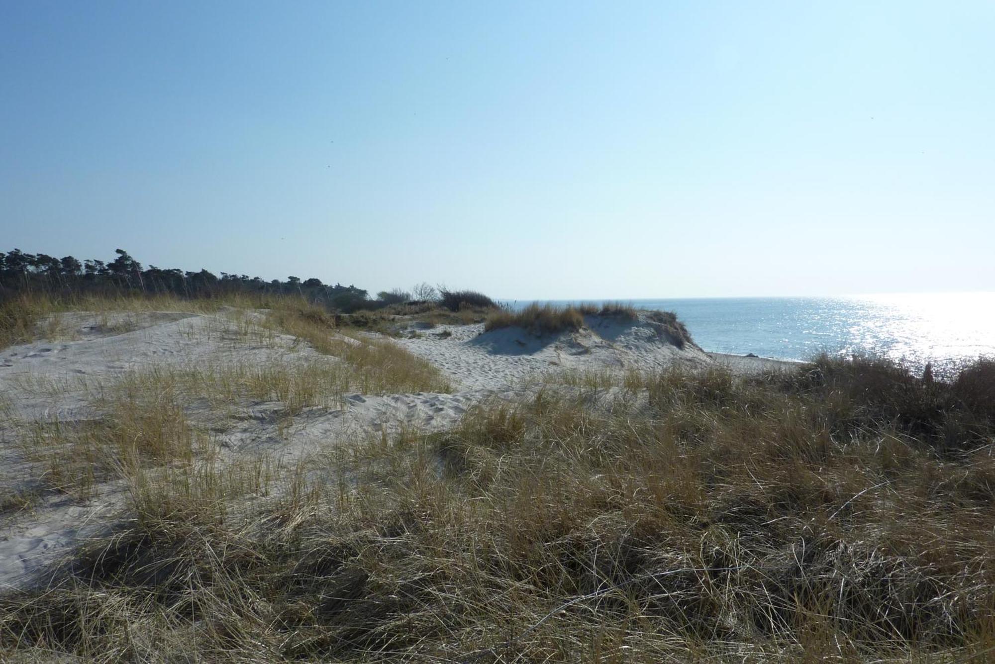 Fewo Kaeuzchen - Ulenhoef Prerow Buitenkant foto