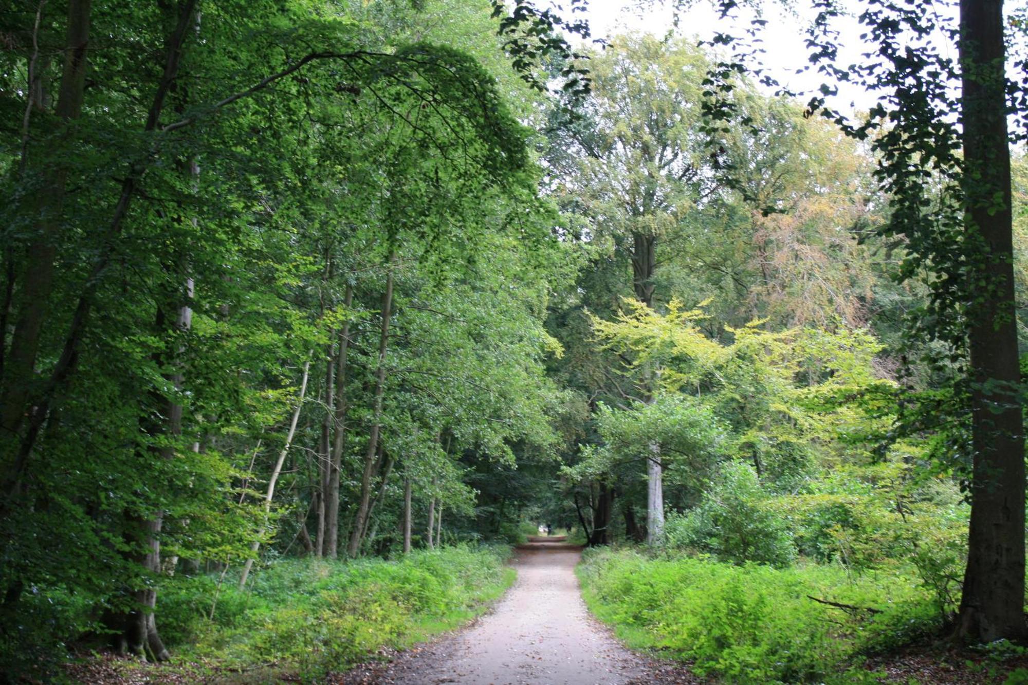 Fewo Kaeuzchen - Ulenhoef Prerow Buitenkant foto